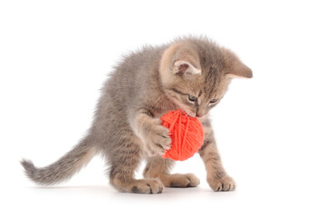 Wall Mural - Little kitten playing with a ball of yarn.