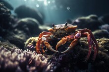 Crab Underwater On A Coral Reef. Generative AI