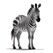 zebra on a transparent background (PNG). AI-generated.
