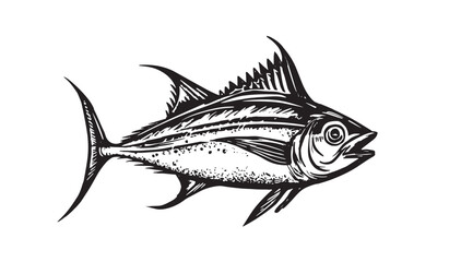 Wall Mural - Tuna hand drawn Illustration, vector.