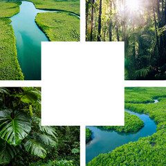 Sticker - Tropical Rainforest Collage. Set of Pictures from Amazon Exotic Forest and Caribbeans.