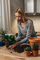 Wall Mural - A beautiful blond girl is replanting her houseplants