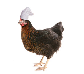 Canvas Print - Chicken wearing a chefs hat studio cutout