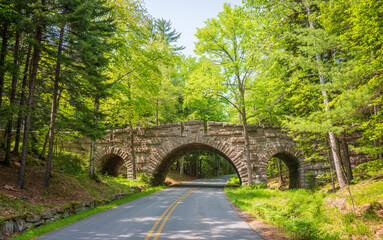 Carriage Roads and Bridge at Acadia National Park