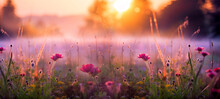 Summer Flower Meadow Wildflower Field Pink With Morning Sunlight, Idyllic Spring Background With Blossoming Lilac Bushes Flowers And Pink Wildflowers On Meadow. Pink Morning Clouds On Blue Sky Over 