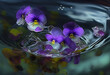 White-purple violets under water in rays of light. AI Generated