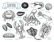 Seafood ink sketch set.