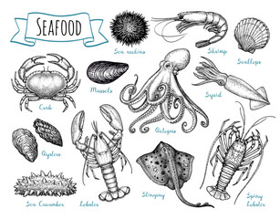 Wall Mural - Seafood ink sketch set.