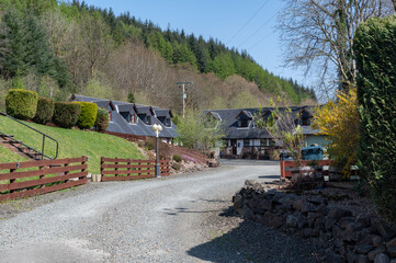 Wall Mural - road in the scotland