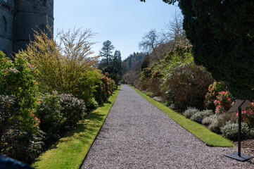 Wall Mural - road in the scotland