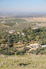 Poster - The view from the castle Almodovar Del Rio, Spain