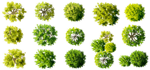 vector watercolor of green tree top view isolated on white background for landscape layout plan and 