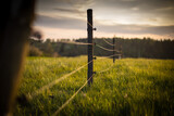 Fototapeta Zwierzęta - Electric fence around a pasture with animals grazing on fresh pasture grass