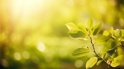 Wall Mural - nature of green leaf in garden at summer. natural green leaves as spring background. ai generated