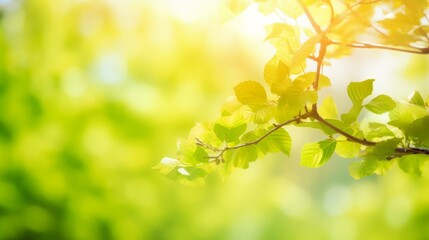 Wall Mural - nature of green leaf in garden at summer. natural green leaves as spring background. ai generated