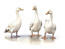 Group Of Three Geese In An Illustrative Waterolor Style, Generative Ai