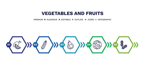 Wall Mural - set of vegetables and fruits thin line icons. vegetables and fruits outline icons with infographic template. linear icons such as lemon, zucchini, avocado, cabbage, peanut vector.