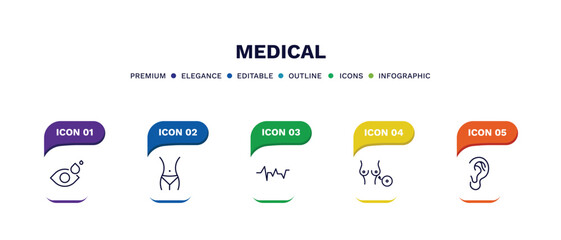 Wall Mural - set of medical thin line icons. medical outline icons with infographic template. linear icons such as eye drops, fit, lifeline, breast implant, ear vector.