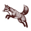 © Satoru Sketches - jumping fox vintage sketch