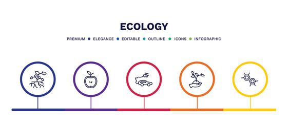 Wall Mural - set of ecology thin line icons. ecology outline icons with infographic template. linear icons such as plant and root, half, eco energy car, plant on a hand, eco cell vector.