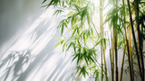 Fototapeta Sypialnia - Tranquil bamboo background with shadows on a plain wall. Generative ai