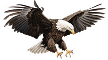 An Isolated  Bald Eagle (Haliaeetus Leucocephalus) , Flying In Motion And In Landing Position, Wildlife, Wildlife-themed, Photorealistic Illustration On A Transparent Background PNG. Generative Ai