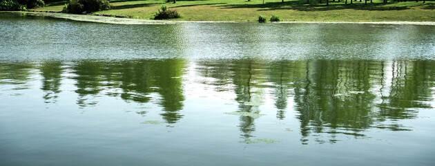 Wall Mural - The clear water reflects the sky and trees