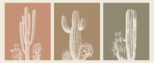 Desert Cactus Boho Earthy Warm Colors Minimalist Vector Illustration Set Of 3