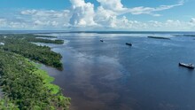 Amazonian Forest At Manaus Amazonas Brazil. Riverside River Background. Travel Aerial View Background Jungle. Travel Outdoors Background Amazon Panoramic. Travel Jungle Wild Life Amazonian.