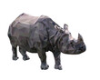 Vector illustration of low poly rhinoceros. Geometric polygonal rhino portrait. Rhinoceros triangles low poly vector.