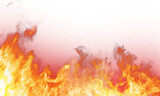 Fototapeta Tulipany - Fire flame on transparent background