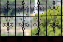 Wrought Iron Fence With A Bird