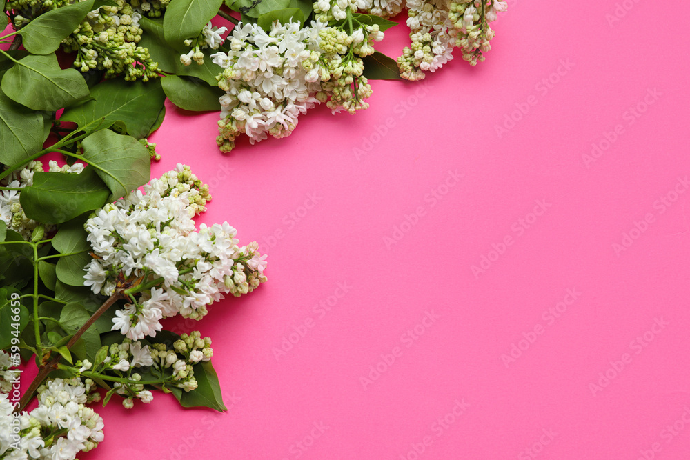 Blooming lilac flowers on pink background