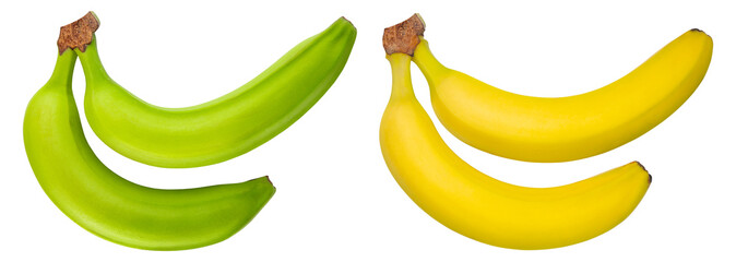 Bananas. Two green, yellow bananas. Fresh organic banana. Raw tropical fruit. Vegetarian diet. Whole unpeeled banana. Good for snack. Food photography. PNG Isolated background. High resolution photo