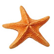 red starfish isolated on transparent background, Generative AI