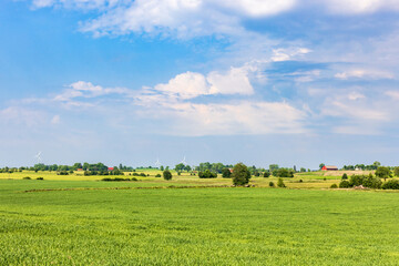 Canvas Print - Summer day in the country with green fields