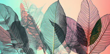Contemporary Banner X Ray Stile, Leaves Pattern  On Pastel Background, Generative Ai Illustration