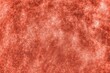 Organic texture of the hard brain coral. Abstract background in coral color .