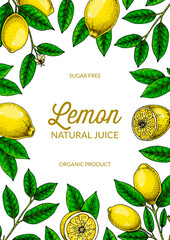 Wall Mural - Vertical lemon background. Hand drawn colorful vector illustration in sketch stile. Design for packaging, invitation, greeting cards