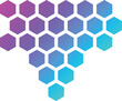 © Graphixs Art - Honey comb Vector Icon Design Illustration