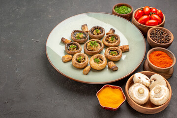 Wall Mural - front view cooked mushrooms with tomatoes and seasonings on dark background dish meal cooking mushrooms dinner