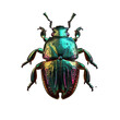 green beetle isolated on transparent background