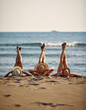 © luckybusiness - Horizontal shot of three young women in straw hats on a beach, with legs up. Blue sea in the background. Summer vacation concept.