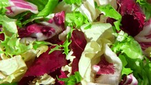 Fresh Mixed Salad Field Greens Piled Closeup Top View. Various Vegetable Leaves Wallpaper. Healthy Juicy Salad Mix With Frisee, Radicchio, Chard Leaf And Lettuce Is Spinning, Rotation. Mixed Greens.