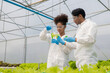 © ArLawKa - African American researcher and plant genetics expert. Test the quality and bacteria in the hydroponics vegetable garden. Researchers are collecting samples to test vegetables grown from farm water.