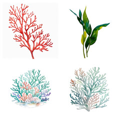 Wall Mural - Hand drawn watercolor sea themed elements. Illustration generative ai isolated on white background. Watercolor sea coral and seaweed clipart.