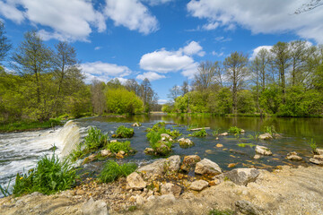 Spring on the banks of the Warta River, Poland.