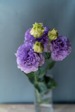 生けた紫の桔梗の花とつぼみ