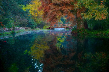 Wall Mural - Wooden bridge over the autumn river. River bridge in autumn forest. Autumn forest wooden bridge. Bridge over autumn river. Autumn forest bridge way in scenery fall woods. Romantic view image scene