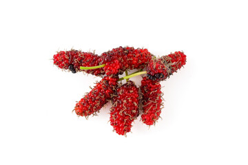 Wall Mural - Pile of organic Mulberry fruits isolated on white background